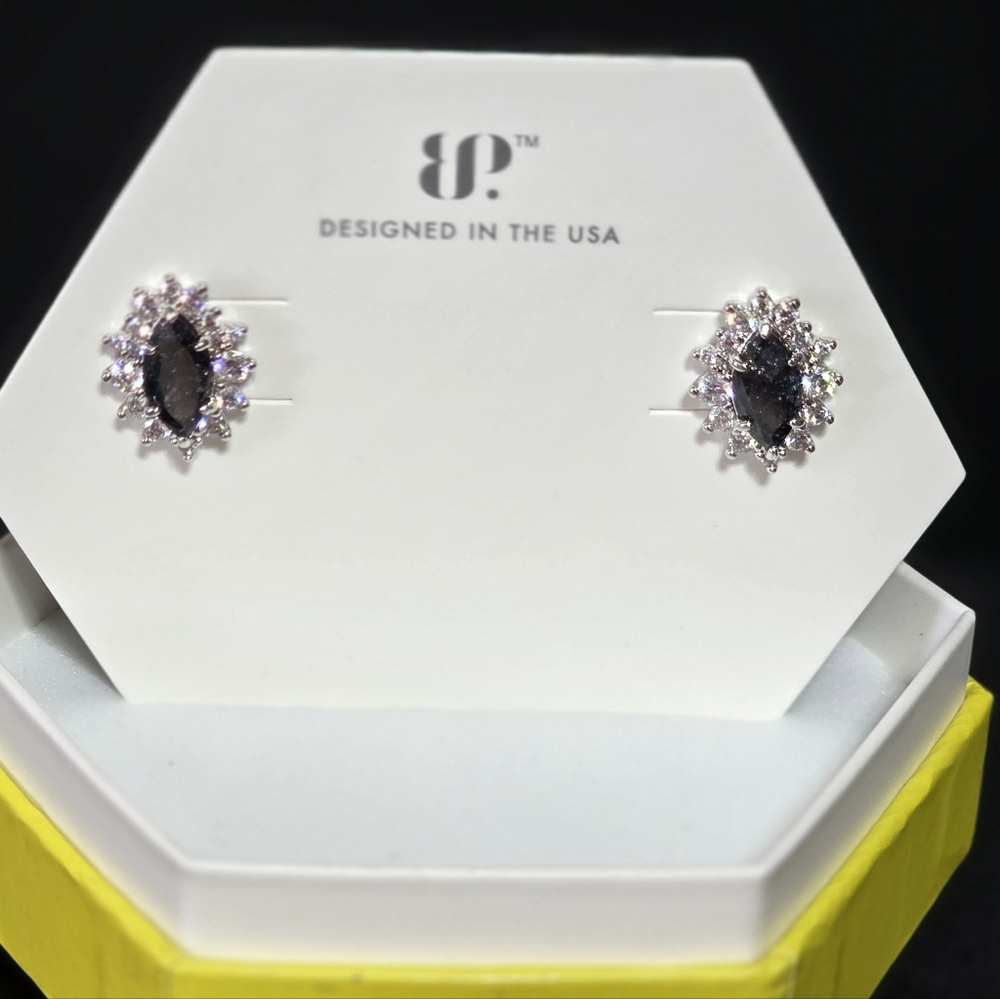 Elegant Black and Silver Earrings